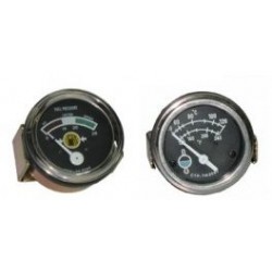 0123-0698: INDICATOR & CAP ASSY