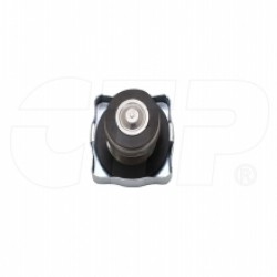 1118160 - CAP RAD - New Aftermarket