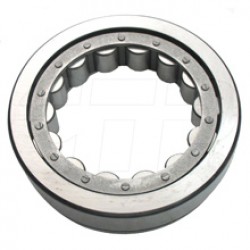 1M8776 - BEARING - New Aftermarket
