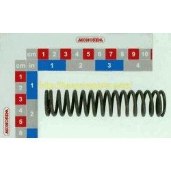 10150003 Pressure spring  (R38)