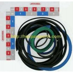 10189042 SEAL KIT FOR CYLINDER 45 x 100