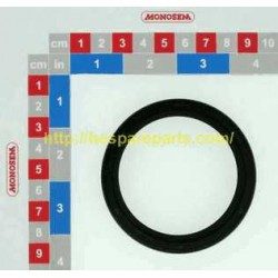 10219092 LIP SEAL 60x75x8