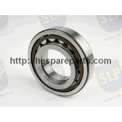 BRG-999 - BEARING