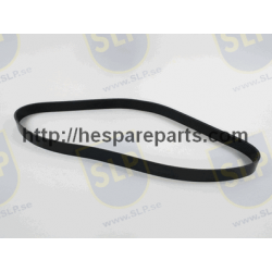 DB-534 - MULTI-RIB BELT