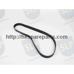 DB-545 - MULTI-RIB BELT