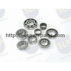 GBS-50 - TRANSMISSION BEARING SET