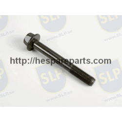 SKR-079 - FLANGE SCREW