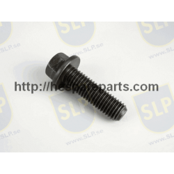 SKR-110 - FLANGE SCREW