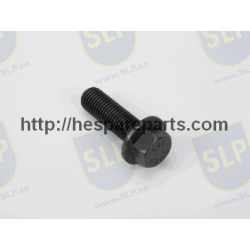 SKR-126 - FLANGE SCREW
