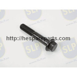 SKR-127 - FLANGE SCREW