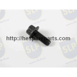 SKR-197 - FLANGE SCREW