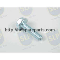 SKR-317 - FLANGE SCREW