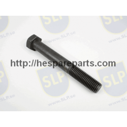 SKR-3368 - HEXAGON SCREW