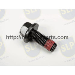 SKR-377 - FLANGE SCREW