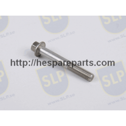 SKR-523 - FLANGE SCREW
