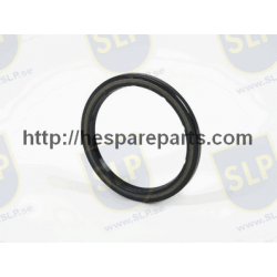 SPT-009 - OIL SEAL