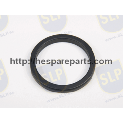 SR-207 - SEALING RING
