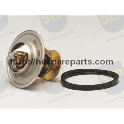 875789 - THERMOSTAT